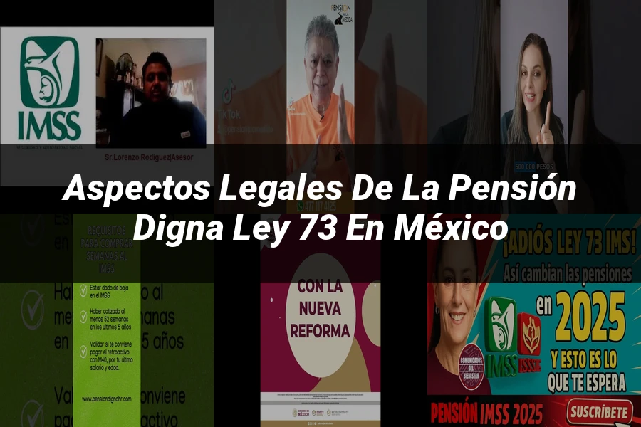 "Aspectos Legales de la Pensión Digna Ley 73 en México"