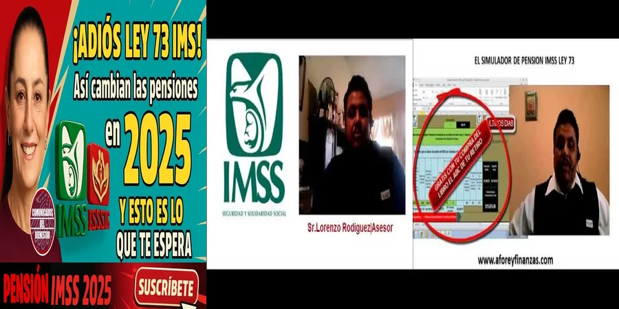 "Aspectos Legales de la Pensión Digna Ley 73 en México"
