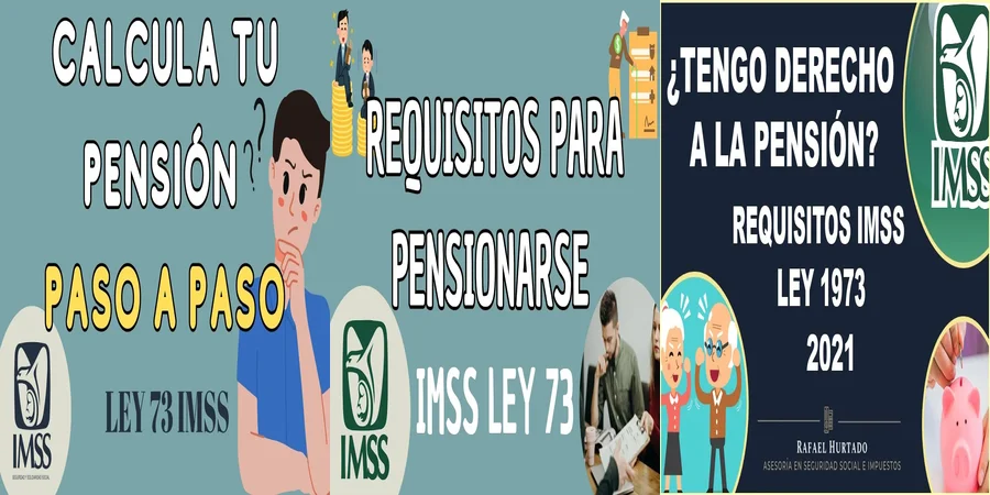 "Aspectos Legales de la Pensión IMSS Ley 73 en México"