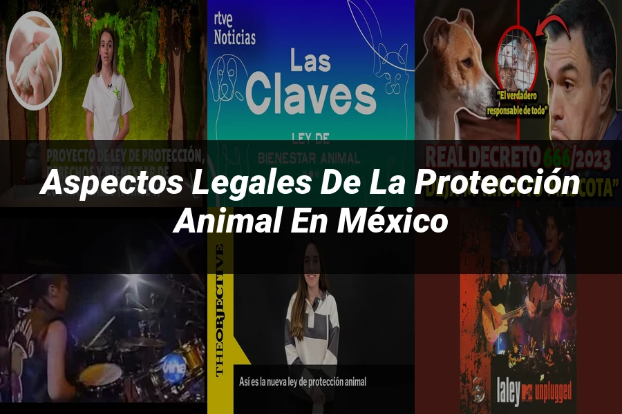 "Aspectos Legales de la Protección Animal en México"