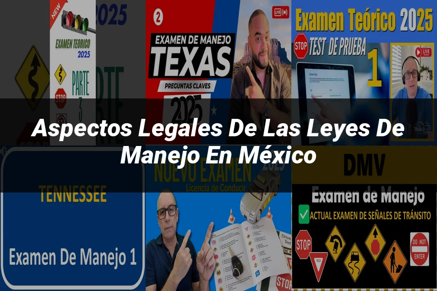 "Aspectos Legales de las Leyes de Manejo en México"