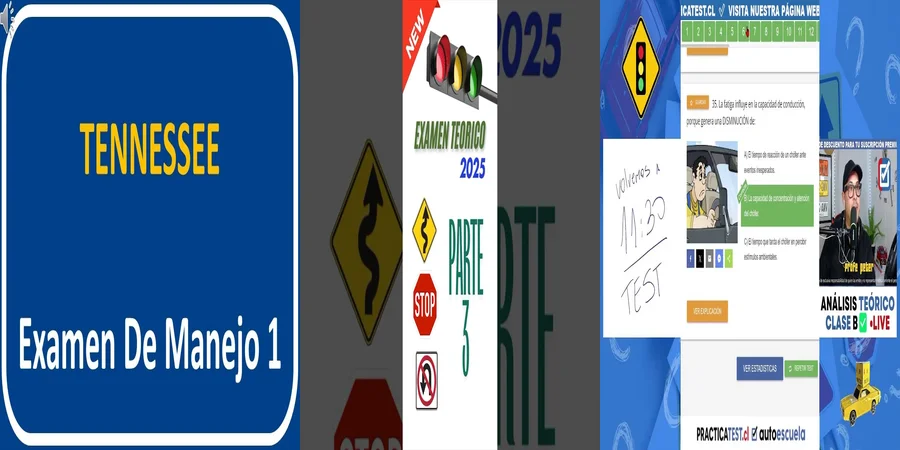 "Aspectos Legales de las Leyes de Manejo en México"