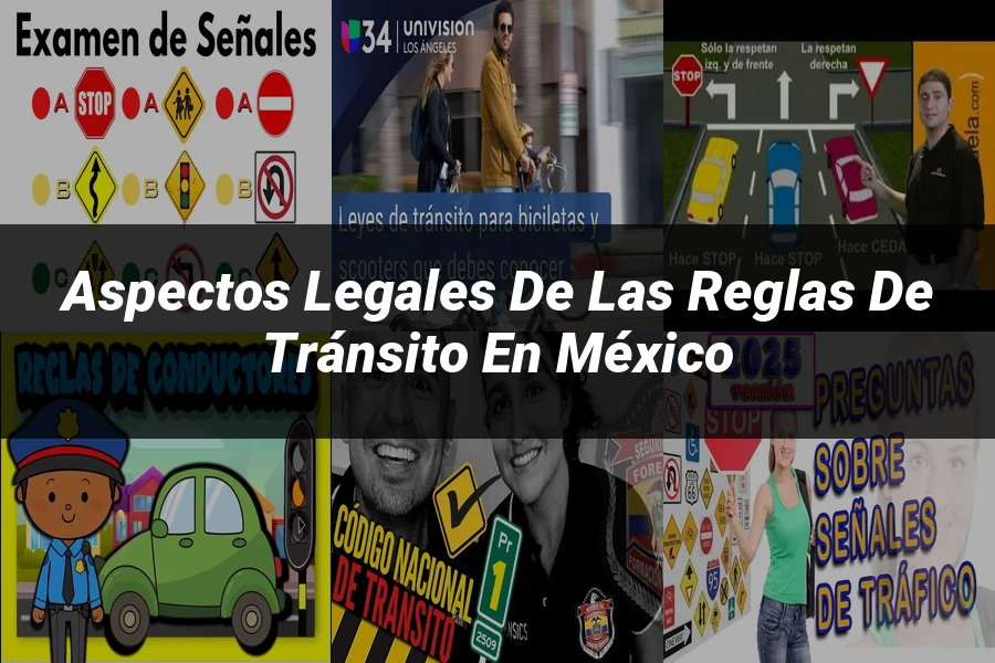 "Aspectos Legales de las Reglas de Tránsito en México"