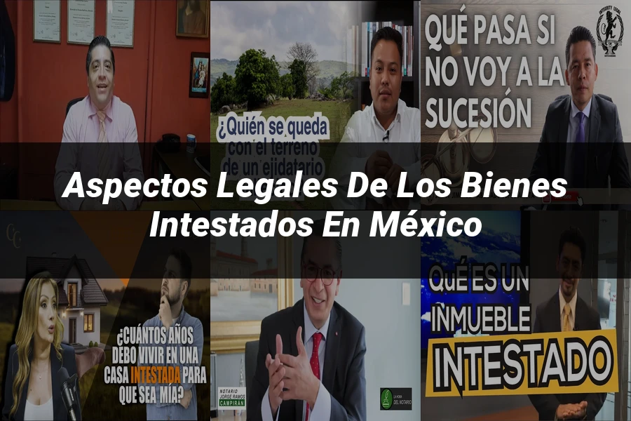 "Aspectos Legales de los Bienes Intestados en México"