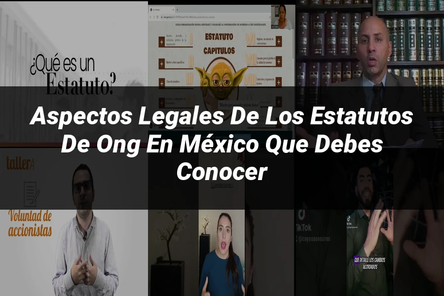 "Aspectos Legales de los Estatutos de ONG en México que Debes Conocer"