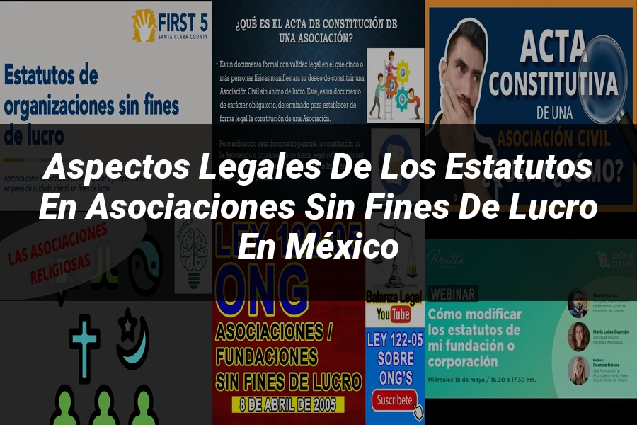 "Aspectos Legales de los Estatutos en Asociaciones Sin Fines de Lucro en México