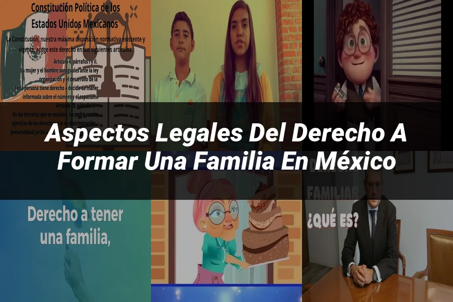 "Aspectos Legales del Derecho a Formar una Familia en México"