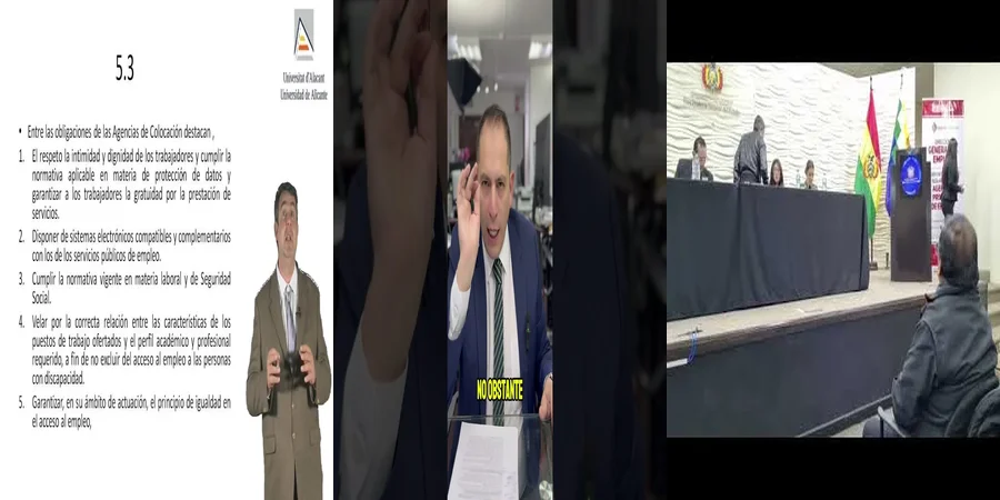 "Aspectos Legales del Reglamento de Agencias de Colocación en México"