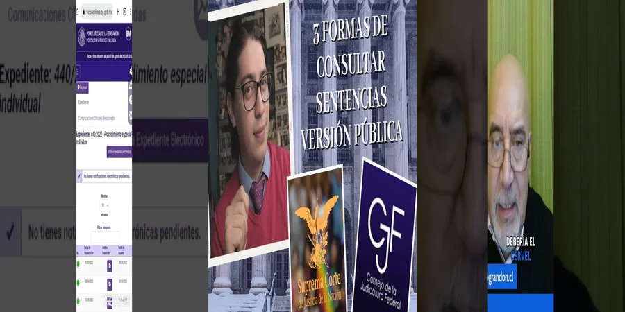 "Aspectos a considerar en tu consulta del poder judicial en México"