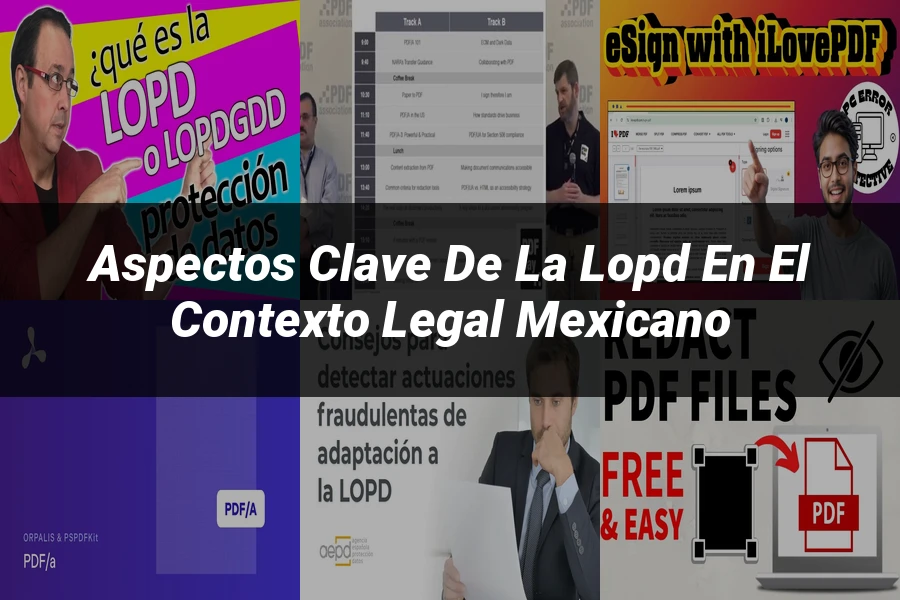 "Aspectos clave de la LOPD en el contexto legal mexicano"