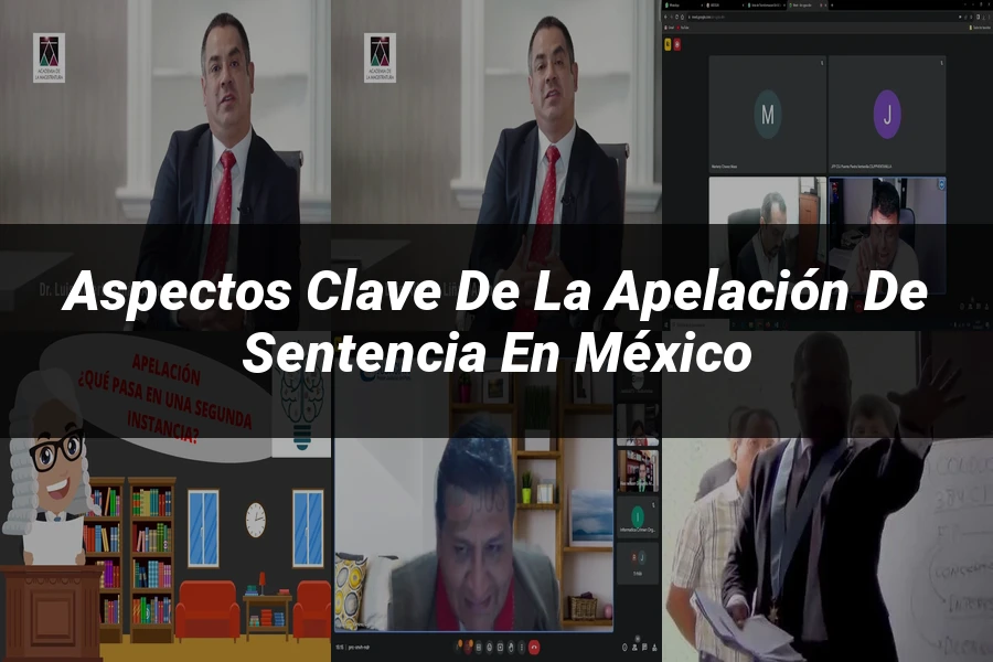 "Aspectos clave de la apelación de sentencia en México"
