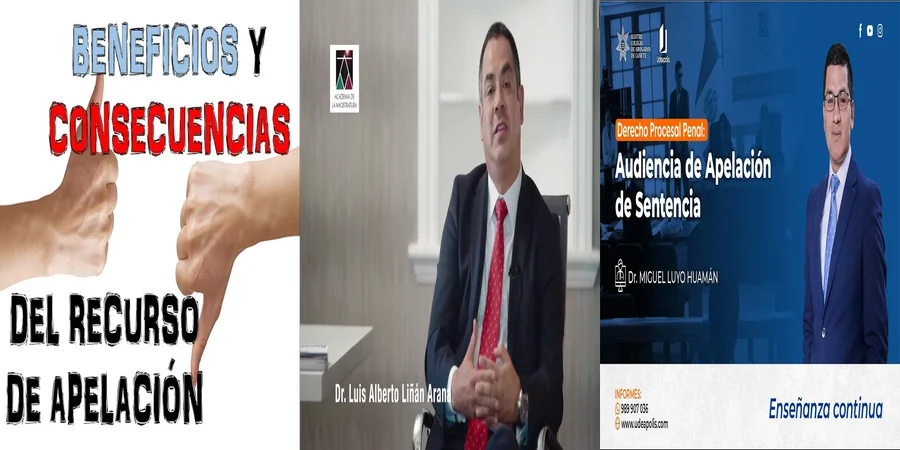 "Aspectos clave de la apelación de sentencia en México"