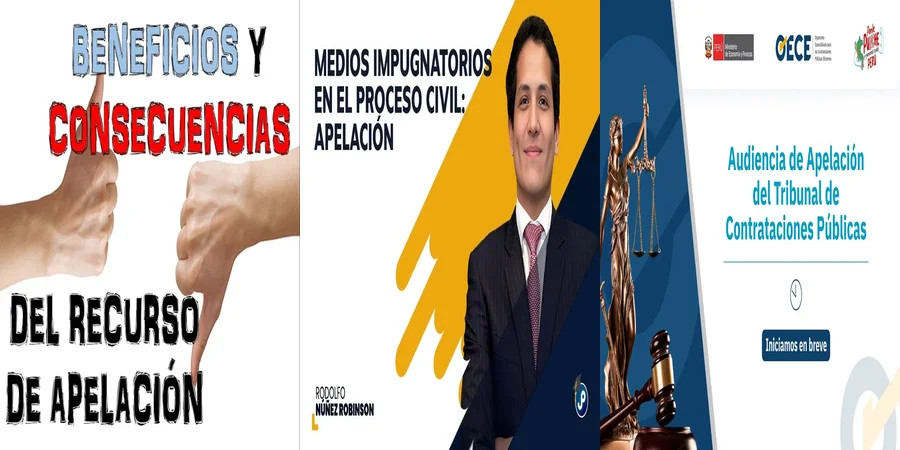"Aspectos clave de la apelación en derecho en México"