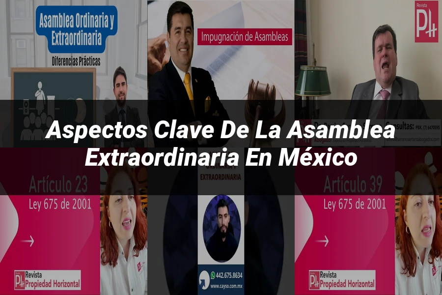 "Aspectos clave de la asamblea extraordinaria en México"