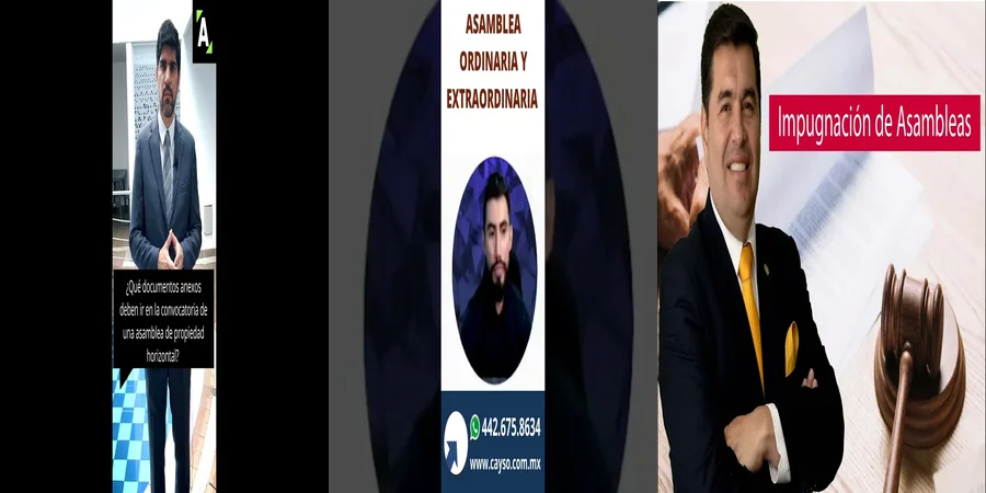 "Aspectos clave de la asamblea extraordinaria en México"