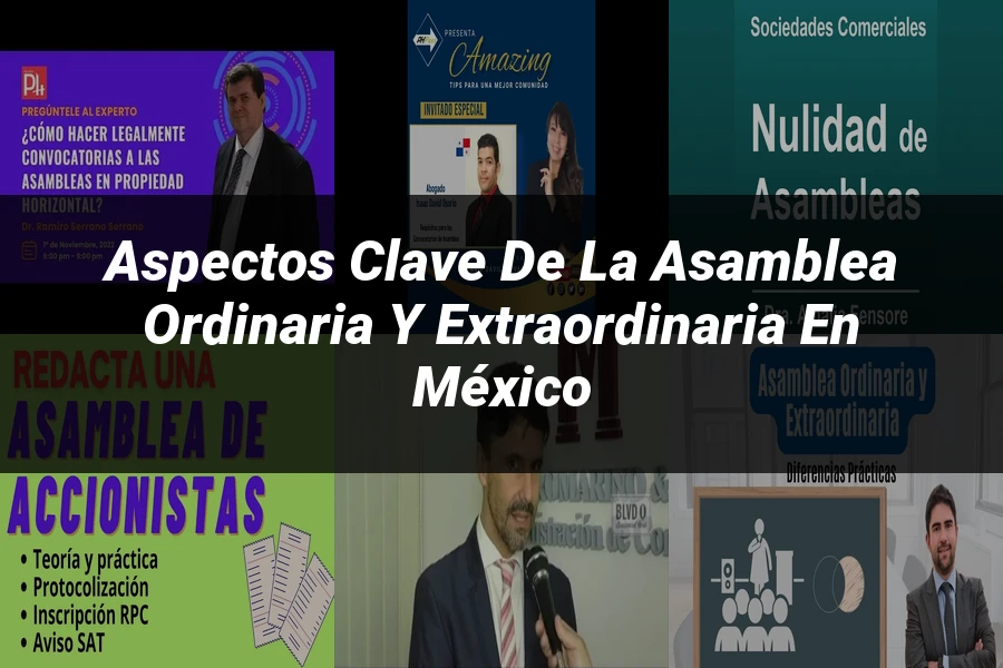 "Aspectos clave de la asamblea ordinaria y extraordinaria en México"