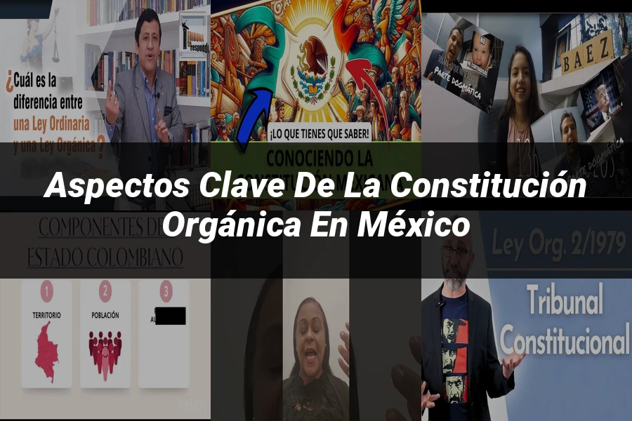 "Aspectos clave de la constitución orgánica en México"