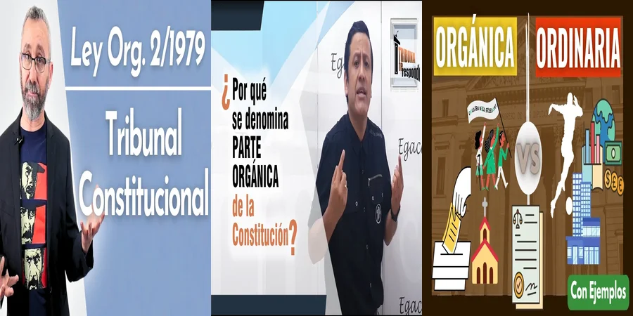 "Aspectos clave de la constitución orgánica en México"