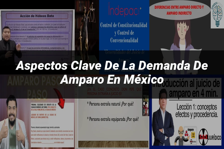 "Aspectos clave de la demanda de amparo en México"