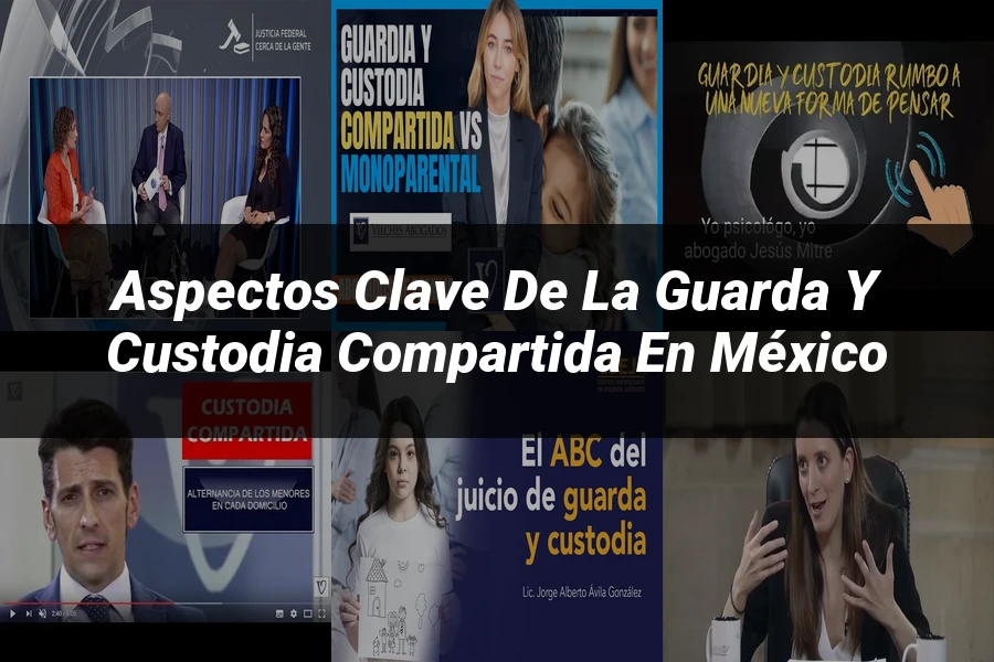 "Aspectos clave de la guarda y custodia compartida en México"