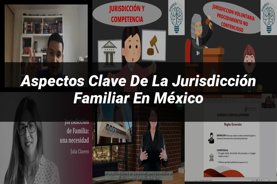 "Aspectos clave de la jurisdicción familiar en México"