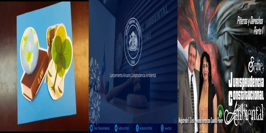 "Aspectos clave de la jurisprudencia ambiental en México"