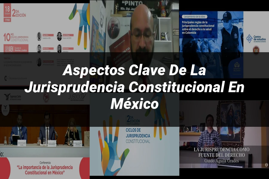 "Aspectos clave de la jurisprudencia constitucional en México"