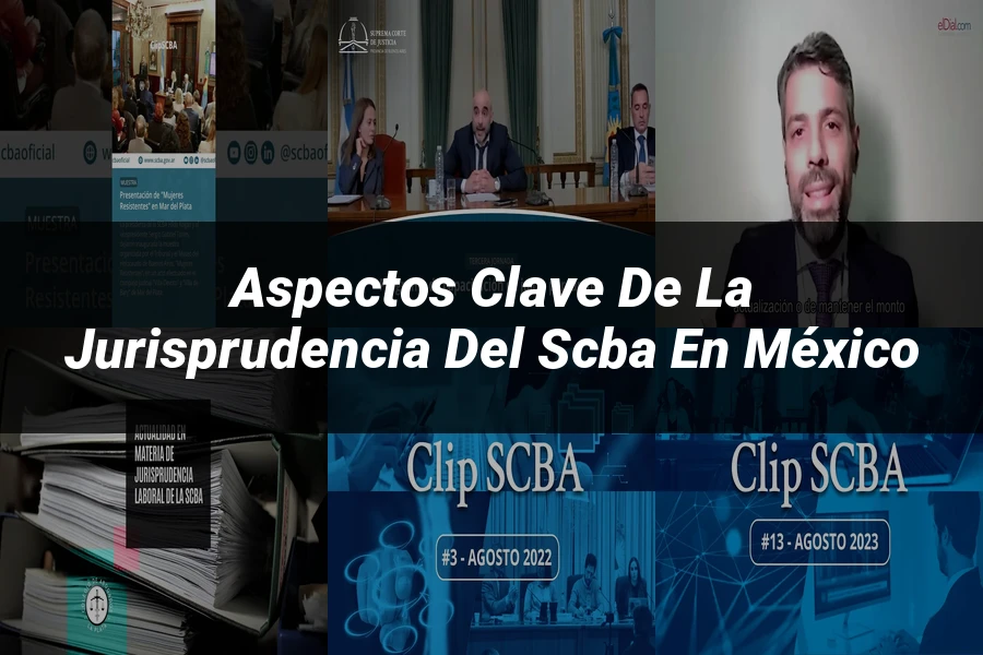 "Aspectos clave de la jurisprudencia del SCBA en México"