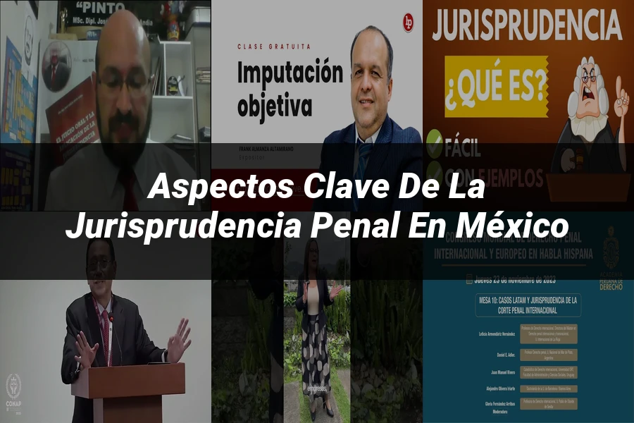 "Aspectos clave de la jurisprudencia penal en México"