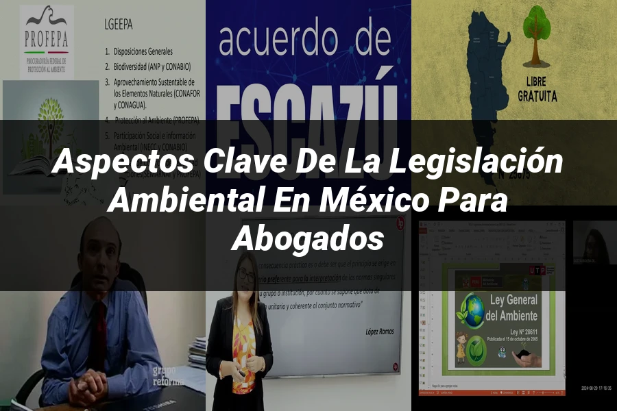 "Aspectos clave de la legislación ambiental en México para abogados"