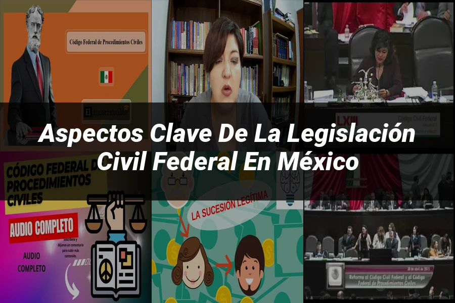 "Aspectos clave de la legislación civil federal en México"