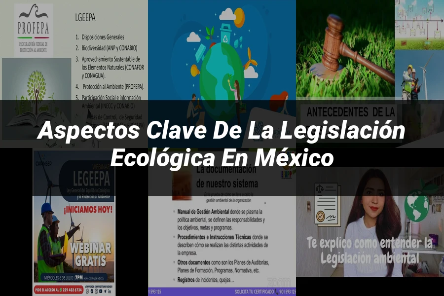 "Aspectos clave de la legislación ecológica en México"