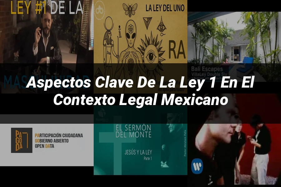 "Aspectos clave de la ley 1 en el contexto legal mexicano"
