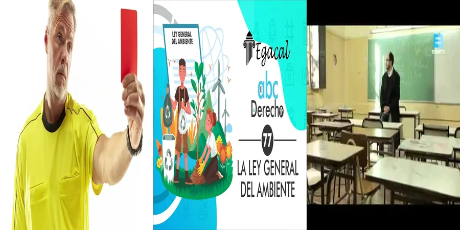 "Aspectos clave de la ley 10208 en el contexto legal mexicano"