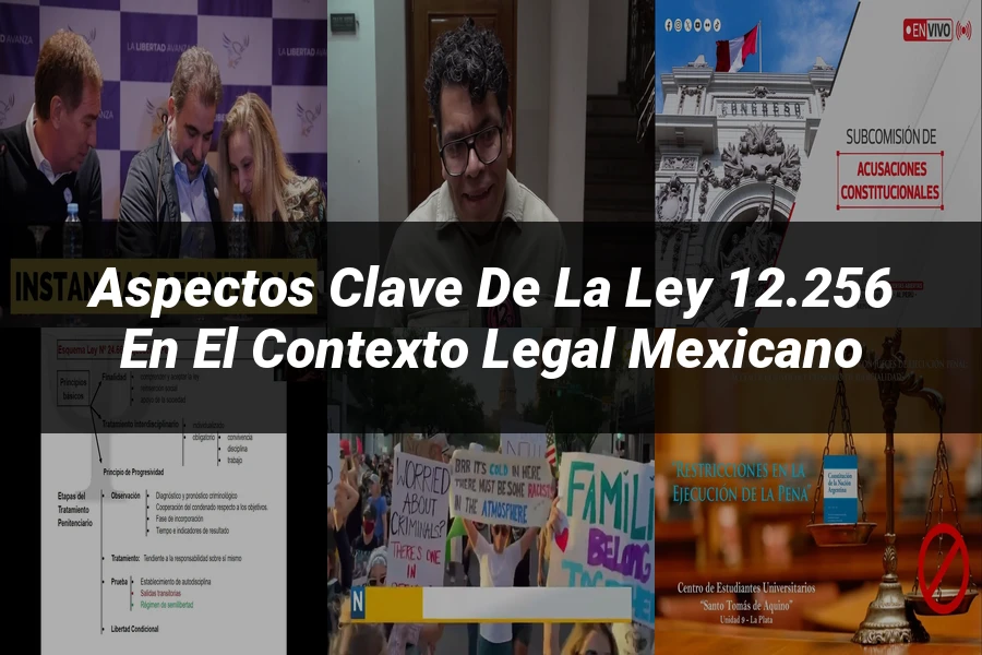 "Aspectos clave de la ley 12.256 en el contexto legal mexicano"