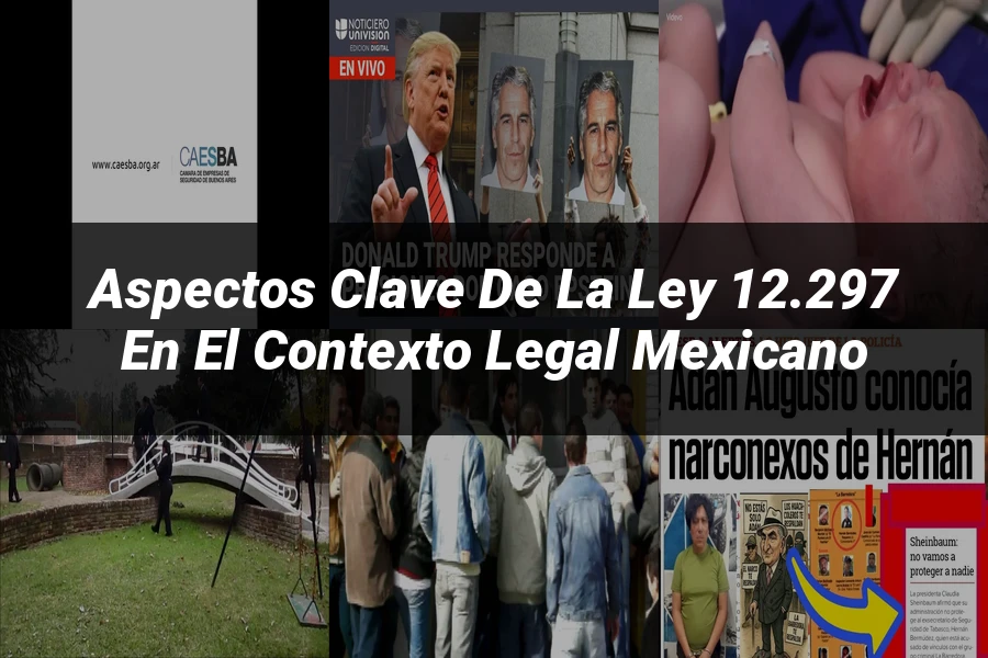 "Aspectos clave de la ley 12.297 en el contexto legal mexicano"