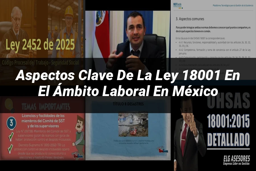 "Aspectos clave de la ley 18001 en el ámbito laboral en México"