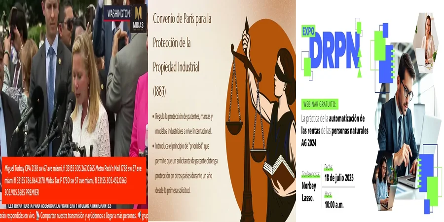 "Aspectos clave de la ley 19223 en el contexto legal mexicano"