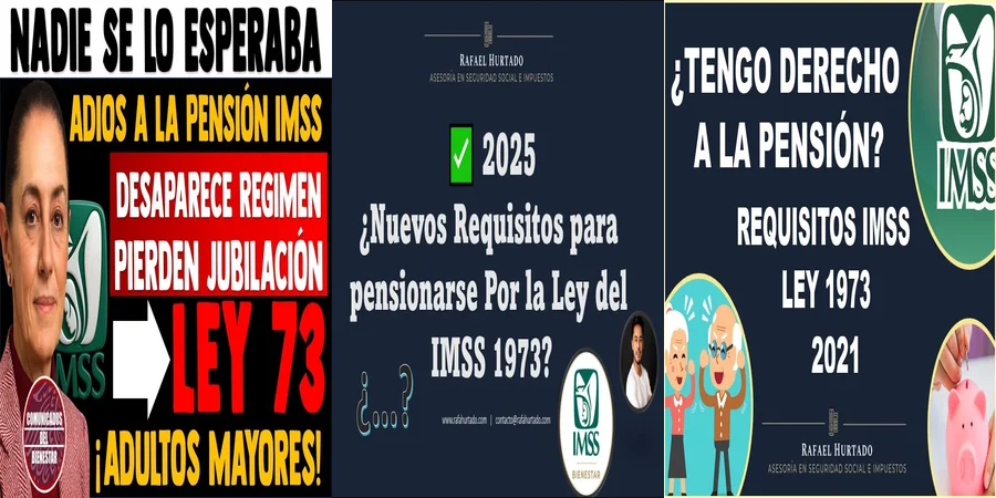 "Aspectos clave de la ley 1973 del seguro social en México"