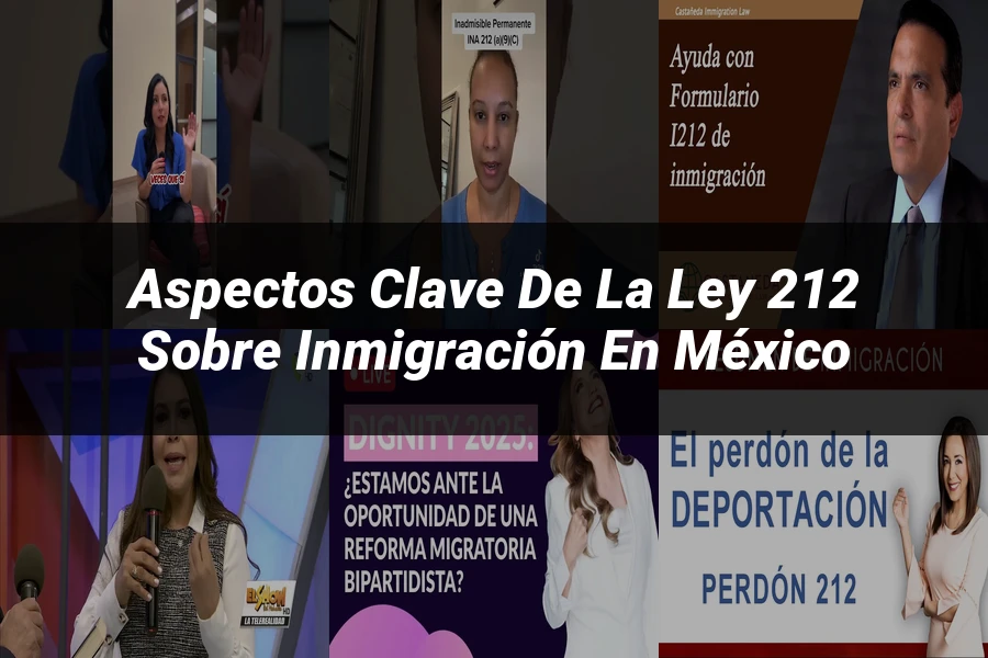 "Aspectos clave de la ley 212 sobre inmigración en México"