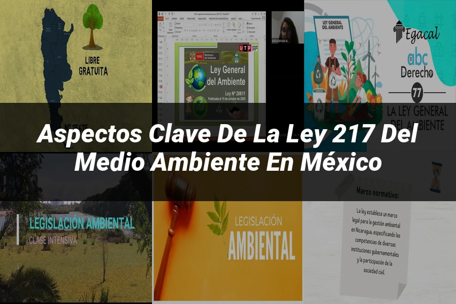 "Aspectos clave de la ley 217 del medio ambiente en México"