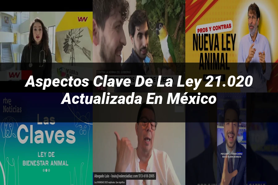 "Aspectos clave de la ley 21.020 actualizada en México"