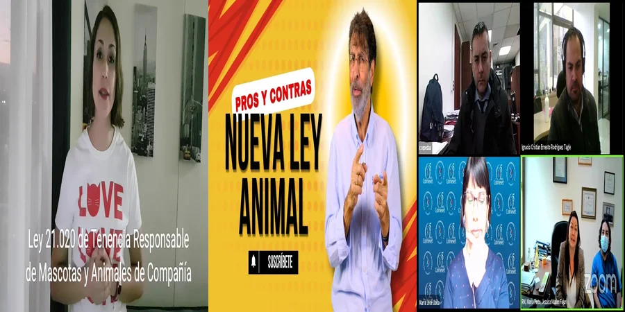 "Aspectos clave de la ley 21.020 actualizada en México"