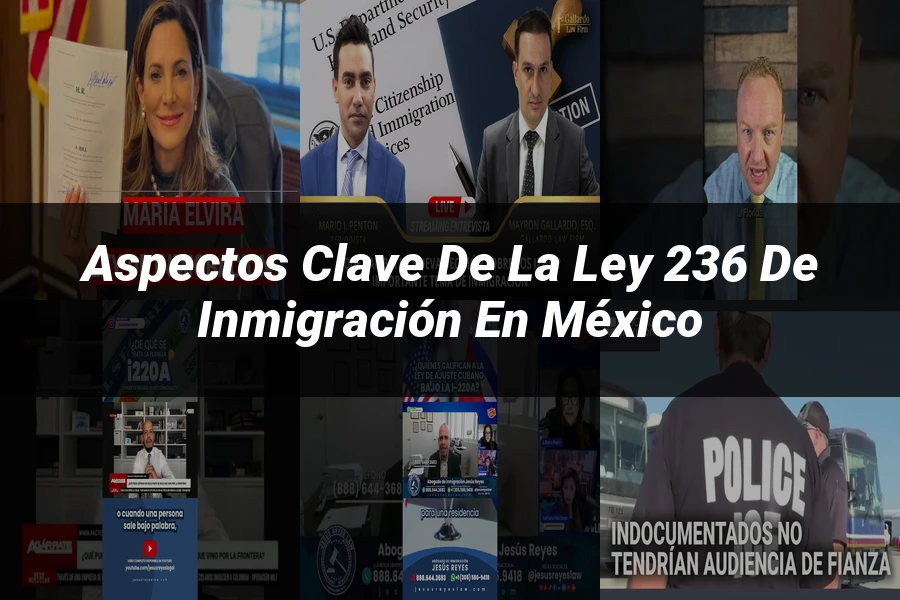 "Aspectos clave de la ley 236 de inmigración en México"