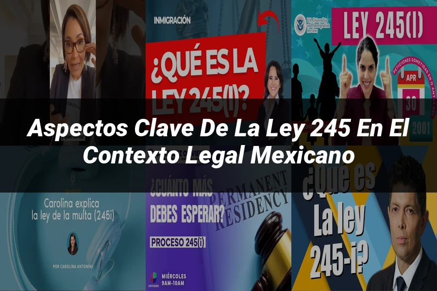 "Aspectos clave de la ley 245 en el contexto legal mexicano"