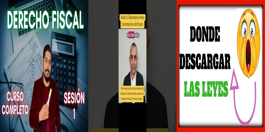 "Aspectos clave de la ley 24769 en el contexto legal mexicano"