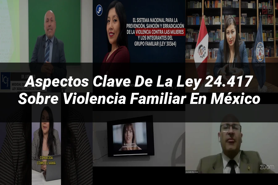 "Aspectos clave de la ley 24.417 sobre violencia familiar en México"