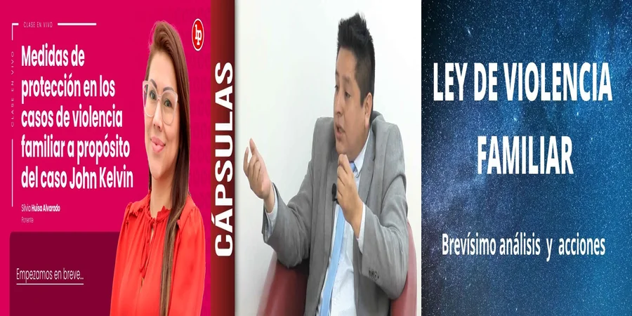 "Aspectos clave de la ley 24.417 sobre violencia familiar en México"
