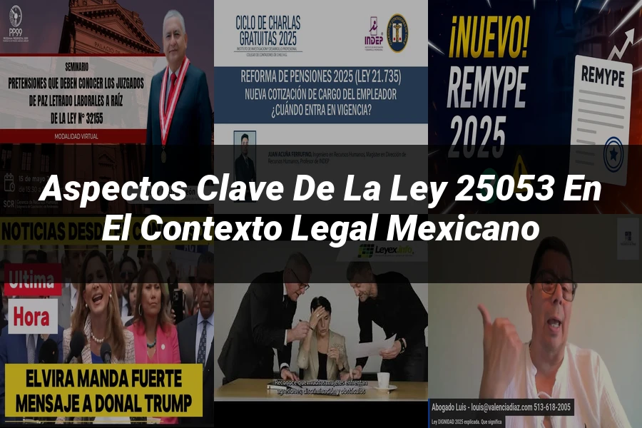 "Aspectos clave de la ley 25053 en el contexto legal mexicano"