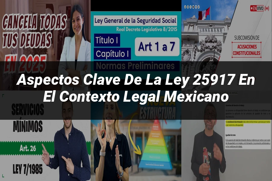 "Aspectos clave de la ley 25917 en el contexto legal mexicano"